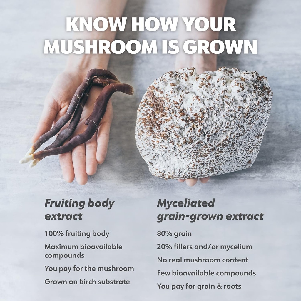 loov-organic-reishi-mushroom-supplement--4.jpg
