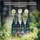 loov-organic-reishi-mushroom-supplement--6.jpg