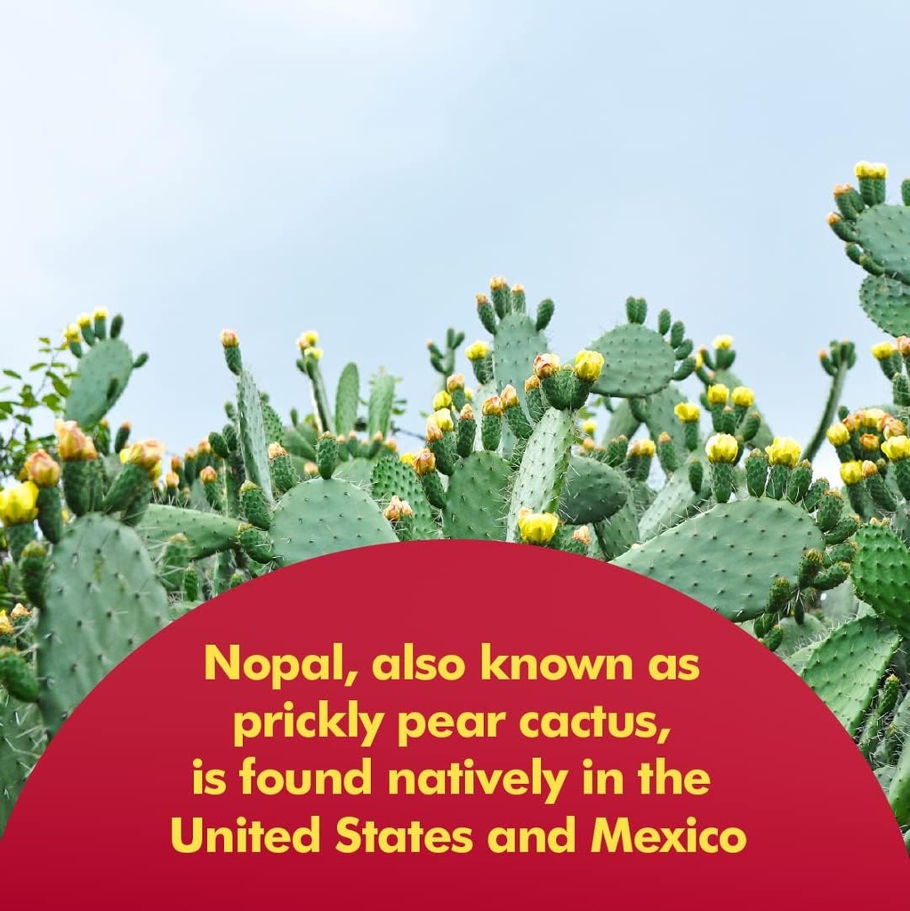 santo-remedio-nopal-skinny-yummy-gummy-b-2.jpg