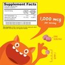 kids-biotin-5000mcg-chewables-vitamin-b1-3.jpg