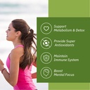 lovita-green-tea-extract-1000mg-120-coun-4.jpg