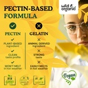 wild-organic-immune-support-gummies---el-6.jpg