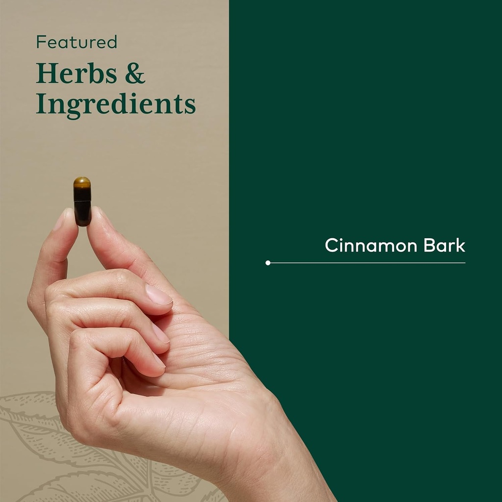 gaia-herbs-pro-cinnamon-bark---supports--4.jpg