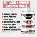 high-potency-resveratrol-capsules-over-9-5.jpg