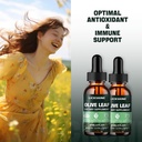 1-pack-1000mg-olive-leaf-liquid-extract--6.jpg