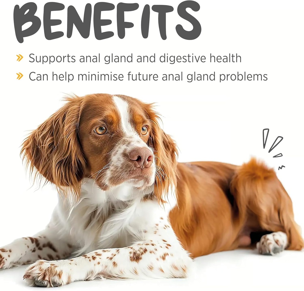 maxxipaws-maxxiscoot-anal-gland-digestiv-2.jpg