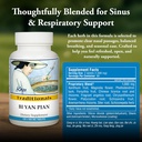 kan-herb-company-bi-yan-pian-traditional-3.jpg