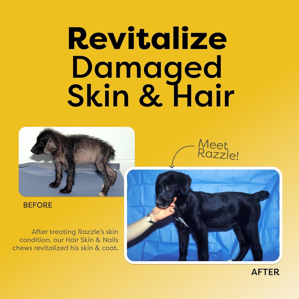 medical-strength-hair-skin-nails-dog-che-5.jpg