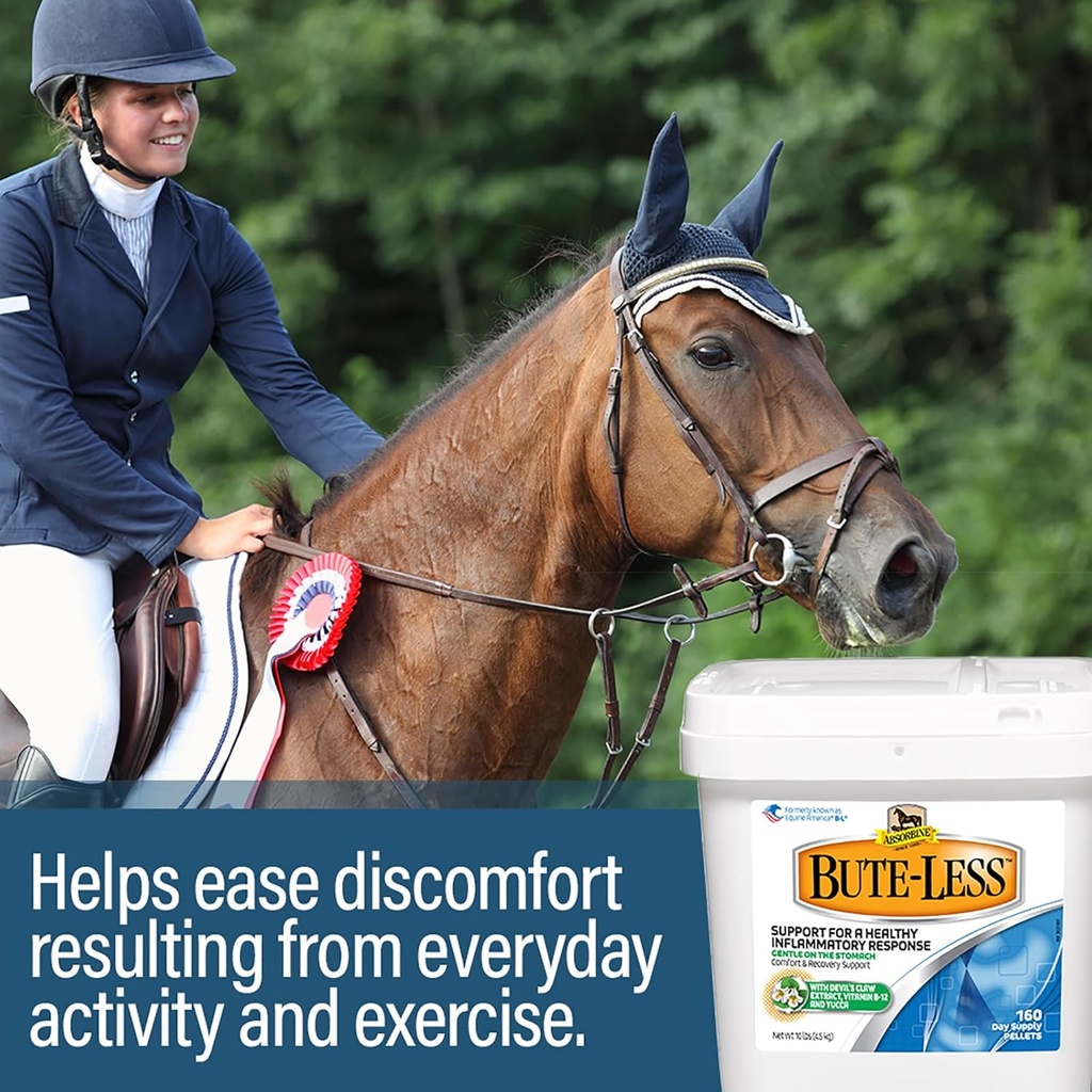 absorbine-bute-less-comfort-recovery-sup-5.jpg