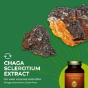 healthforce-superfoods-integrity-extract-6.jpg