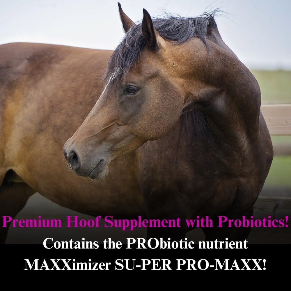 su-per-farriers-select-hoof-supplement---3.jpg
