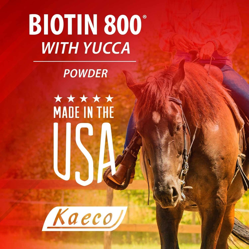 biotin-800-powder-4.jpg