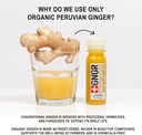 gngr-vitamin-d-booster-tropical-immunity-3.jpg