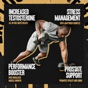animal-tnt-test-booster-prostate-stress--3.jpg