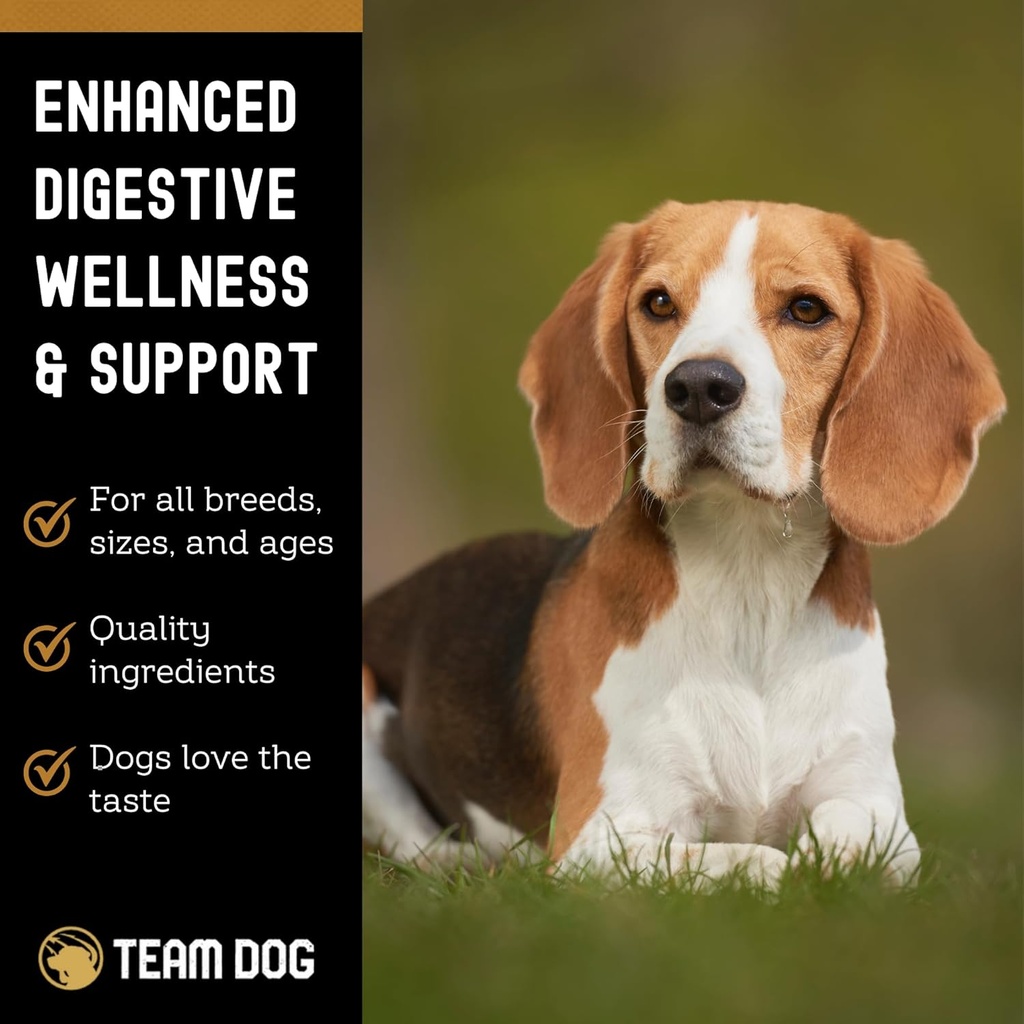 team-dog-probiotic-chews-for-dogs-digest-3.jpg