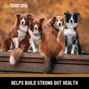 team-dog-probiotic-chews-for-dogs-digest-4.jpg
