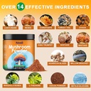 mushroom-powder-supplement-75-servings-1-2.jpg