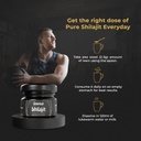pure-shilajit-resin-high-potency-gold-gr-4.jpg