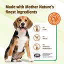 pet-naturals-scoot-bars-for-dogs-digesti-6.jpg