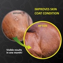 gastromend-xc-100-natural-equine-stomach-4.jpg