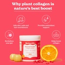 better-alt-eternal-youth-collagen-builde-4.jpg