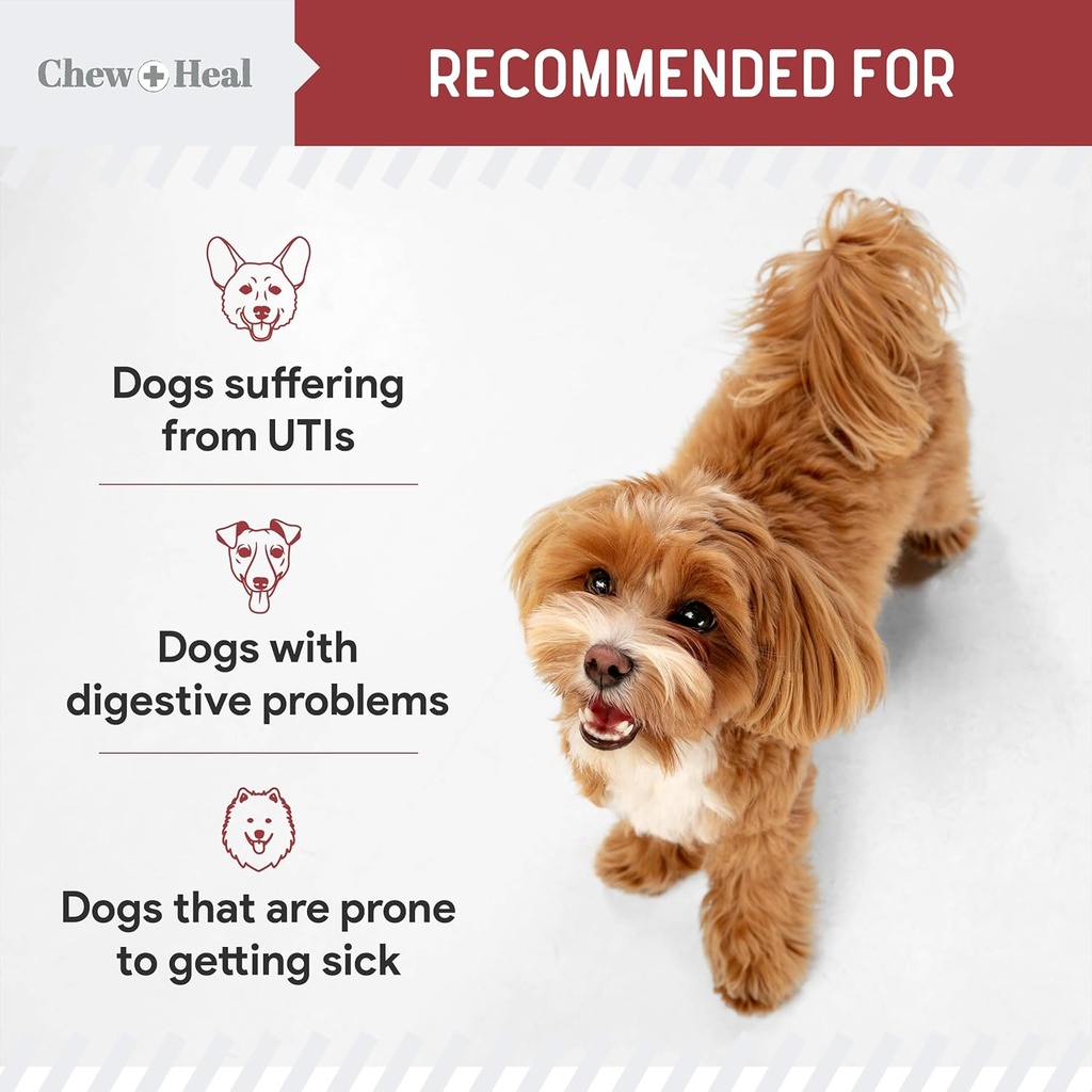 dog-uti-treatment-cranberry-supplement-f-6.jpg