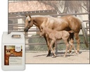 ultracruz-equine-wheat-germ-oil-blend-4--4.jpg