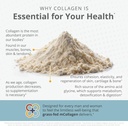 crucial-four---mcollagen-grass-fed-colla-4.jpg