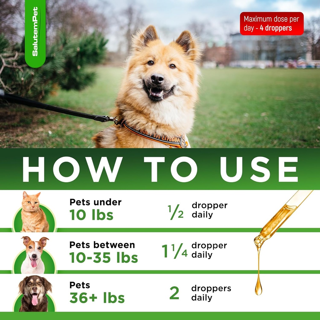 dog-antibiotics-forte-health-antibiotics-5.jpg