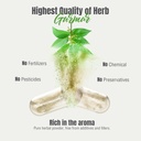 herbsforever-gurmar-capsules-gymnema-syl-6.jpg