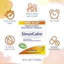 boiron-sinuscalm-tablets-for-sinus-pain--2.jpg