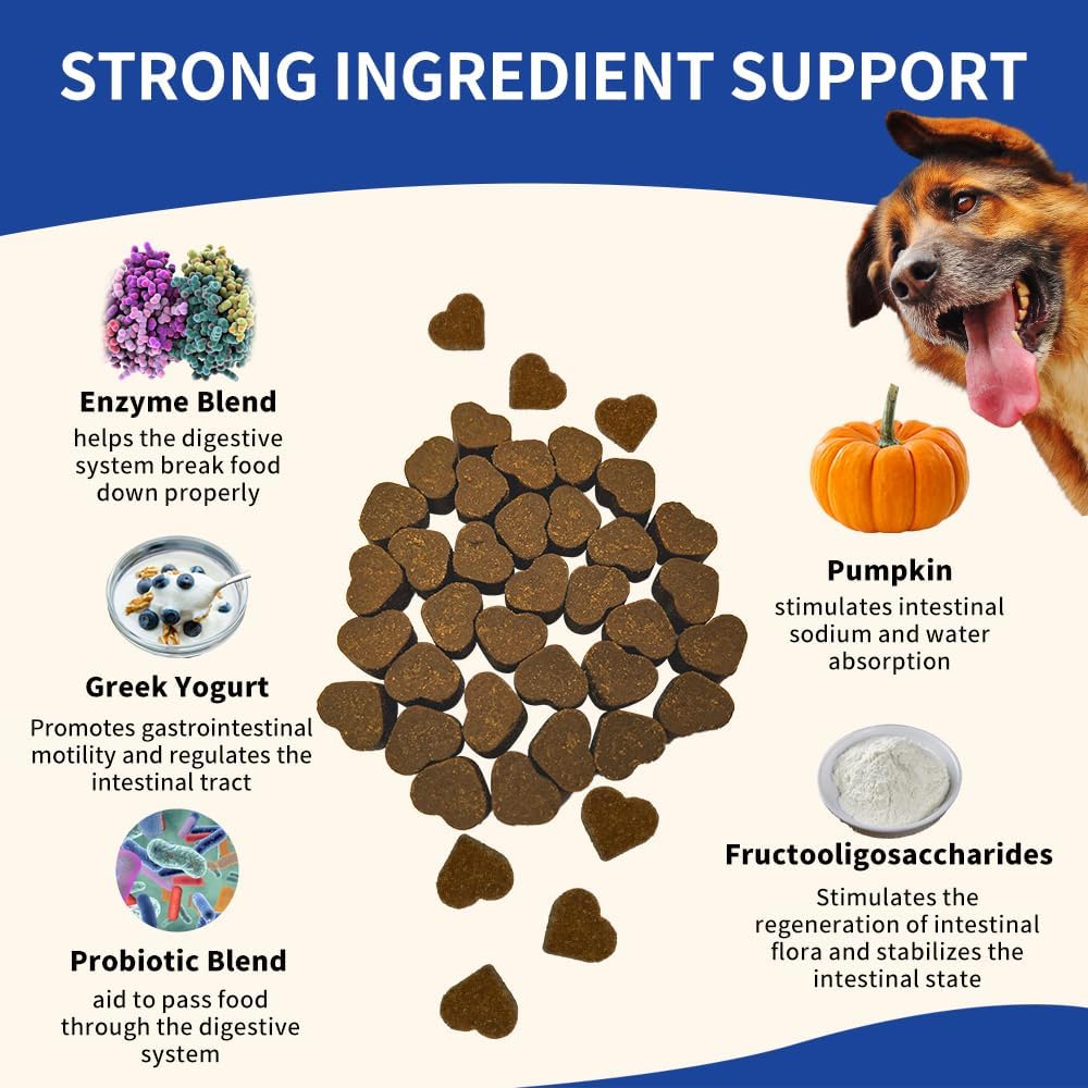 probiotics-for-dogs---improve-itchy-skin-3.jpg