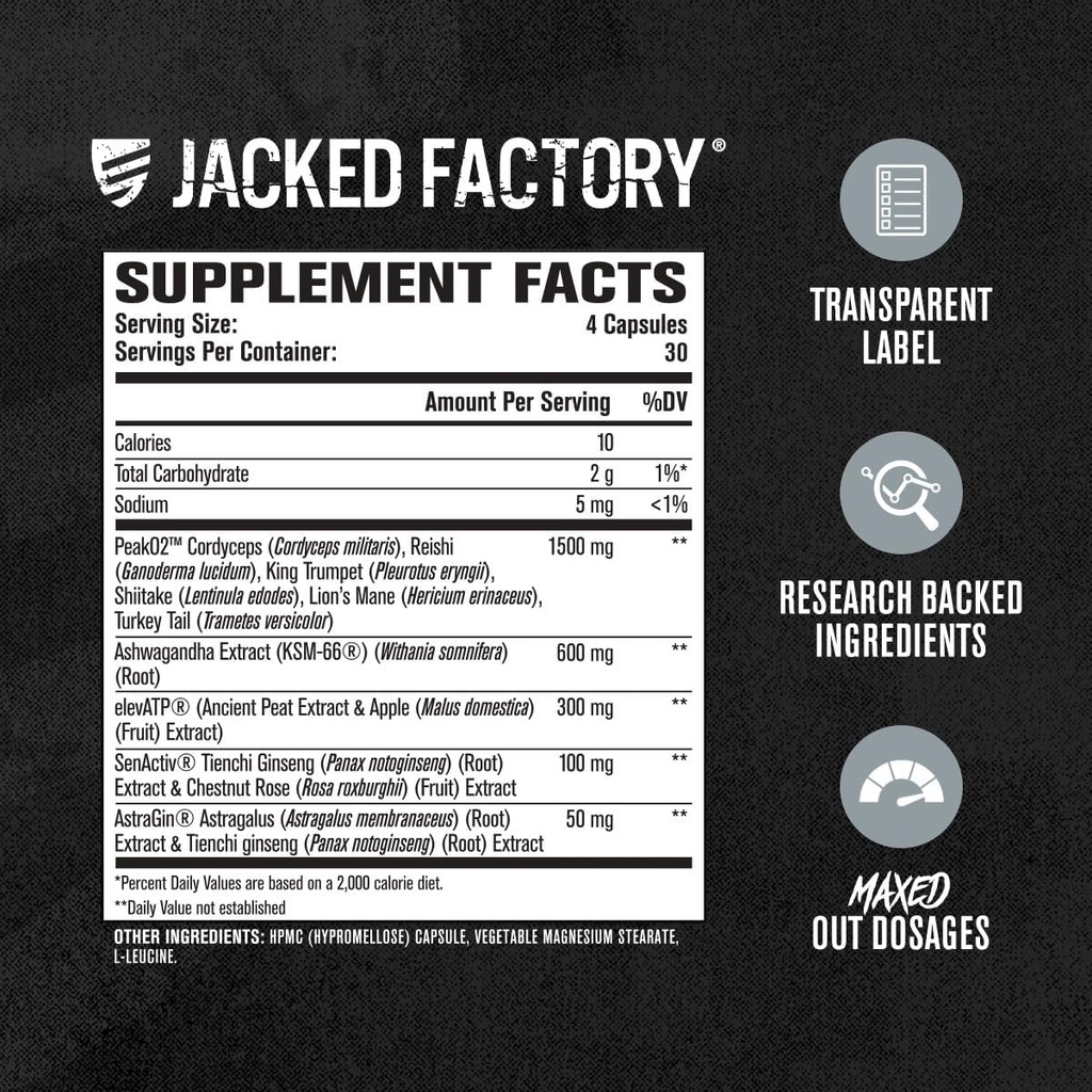 jacked-factory-build-xt-max-muscle-build-5.jpg
