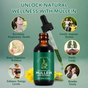 mullein-leaf-extractmullein-drops-for-lu-5.jpg