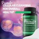 sebi-intracellular-cleanse---our-best-in-6.jpg