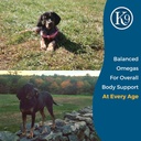 excel-supplements-canine-supplement---do-4.jpg