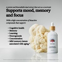 rainbo-mushroom-bundle-lions-mane-mushro-3.jpg