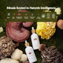 rainbo---cordyceps-mushroom-tincture---a-6.jpg