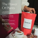 sakara-super-powder-bundle---protein-gre-4.jpg