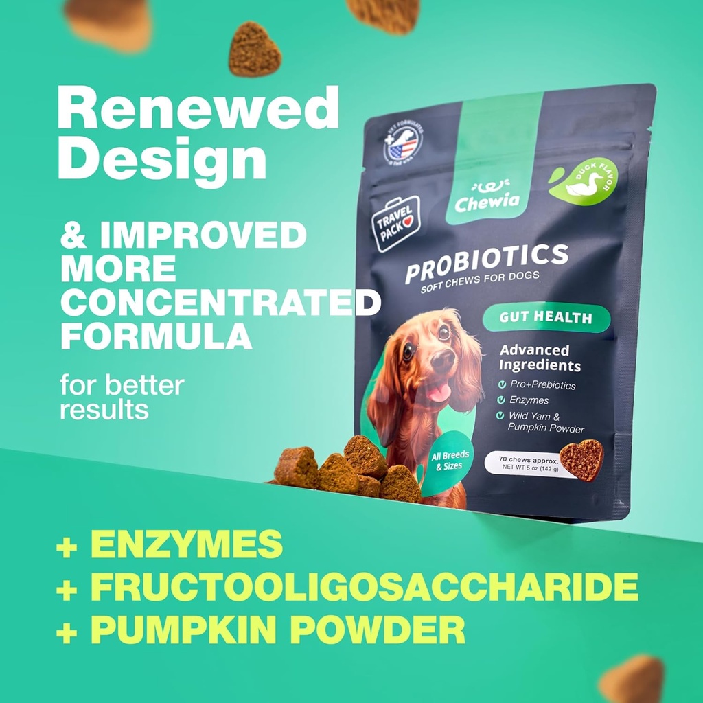 probiotics-for-dogs---support-gut-health-2.jpg
