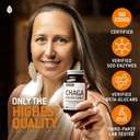 100-real-wild-chaga-mushroom-aged-black--5.jpg