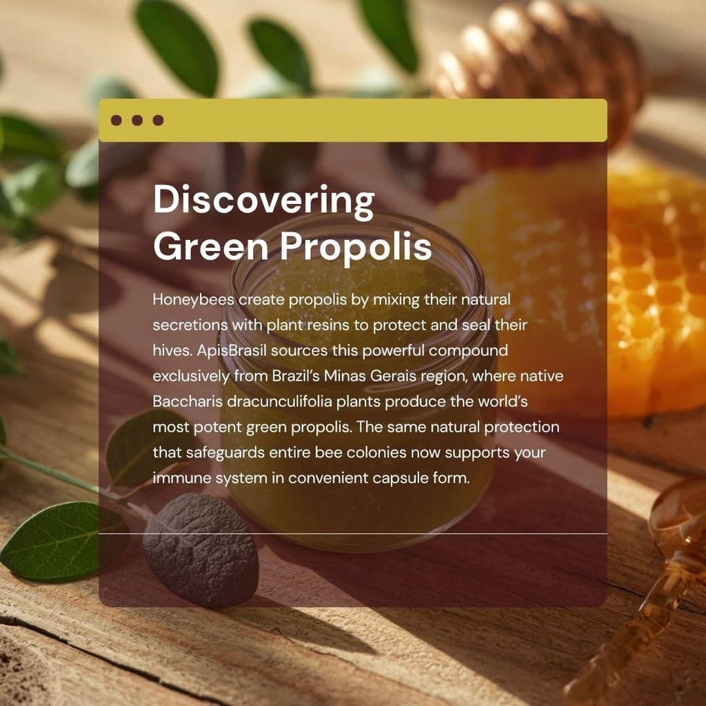 brazilian-green-bee-propolis-liquid-extr-3.jpg