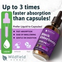 elderberry-extract-drops-2000mg-sambucus-5.jpg