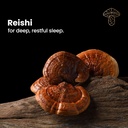 sleep---natural-sleep-supplement-with-re-4.jpg