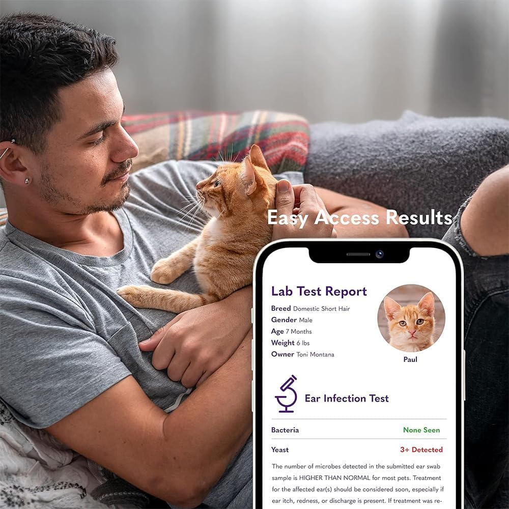 mysimplepetlab-cat-ear-infection-test-ki-5.jpg
