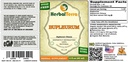 bupleurum-bupleurum-chinense-tincture-or-2.jpg