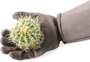 cooljob-thorn-proof-rose-pruning-garden--6.jpg