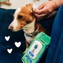 earthbath-dog-ear-wipes---gentle-dog-ear-5.jpg