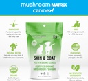 om-mushroom-matrix-pet---canine-skin-coa-3.jpg