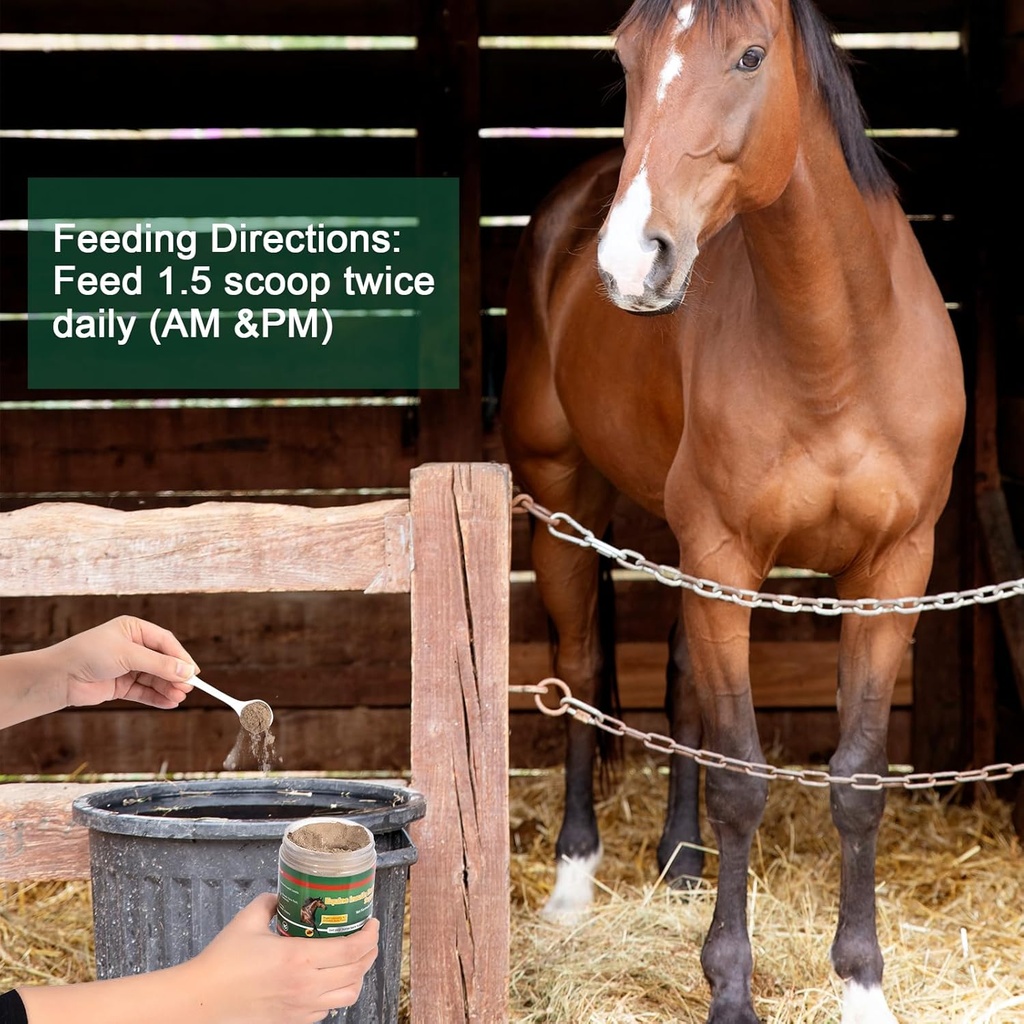 insulin-resistance-supplement-for-horses-4.jpg